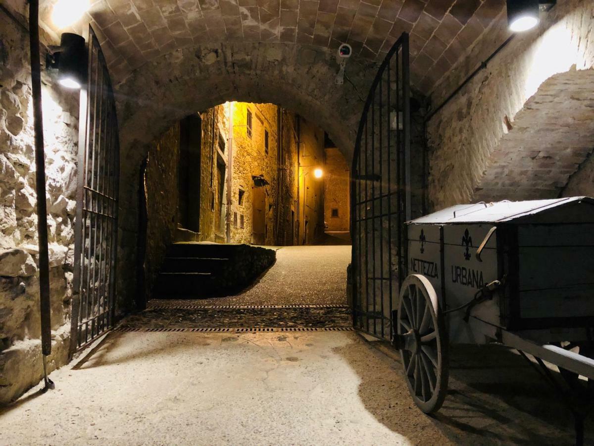 Il Nido Sulla Ruga * Anghiari